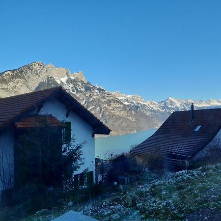 Apartment Panorama Am Walensee In Neubau-Villa Obstalden エクステリア 写真